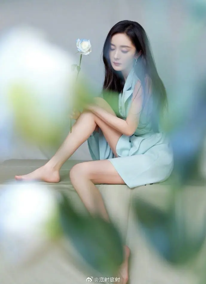 屠夫电影下载数据统计